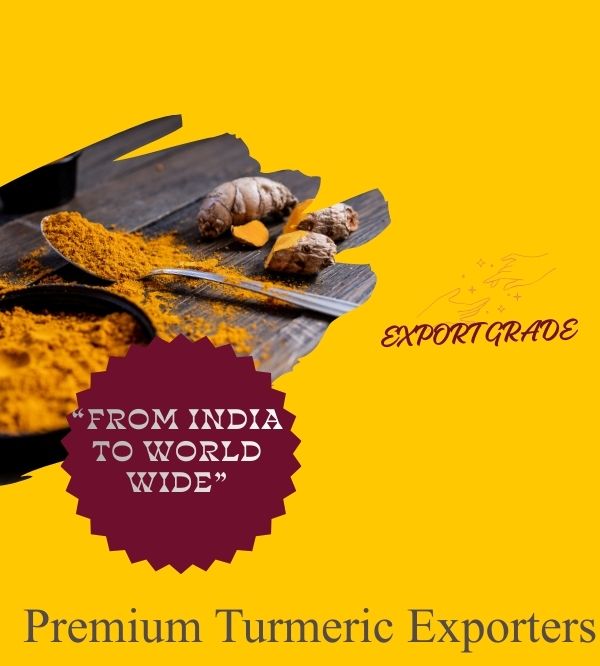 Turmeric Exporters’ Guide: From Turmeric Bulbs to Premium Turmeric Powder c (2)