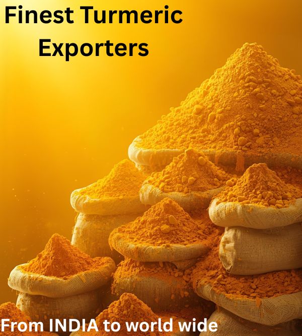 finest turmeric exporters